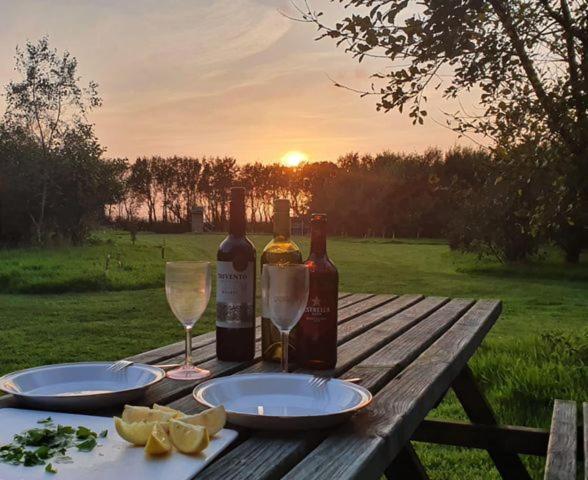 Mill Haven Place Glamping-Yurt 2 Haverfordwest Kültér fotó