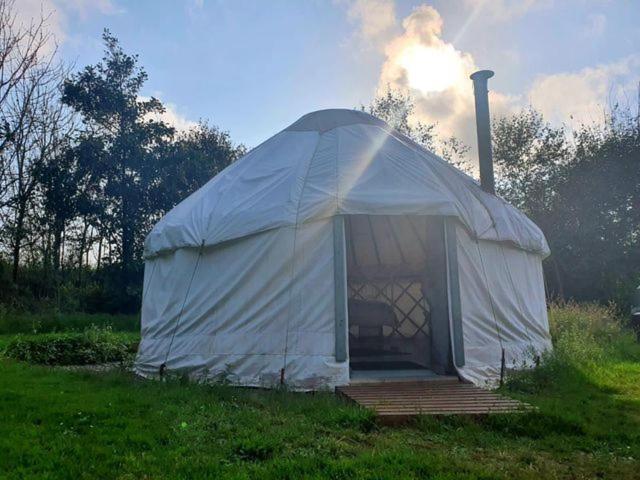 Mill Haven Place Glamping-Yurt 2 Haverfordwest Kültér fotó