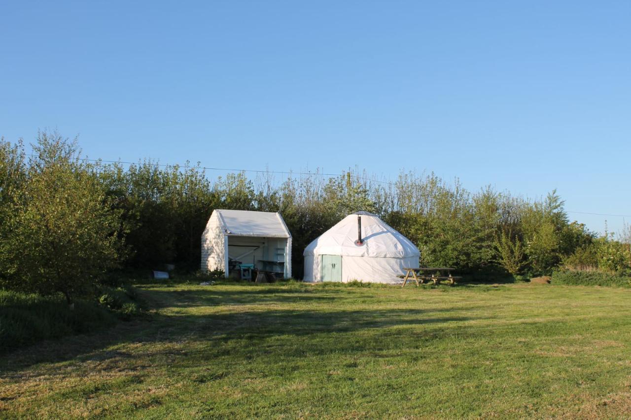Mill Haven Place Glamping-Yurt 2 Haverfordwest Kültér fotó