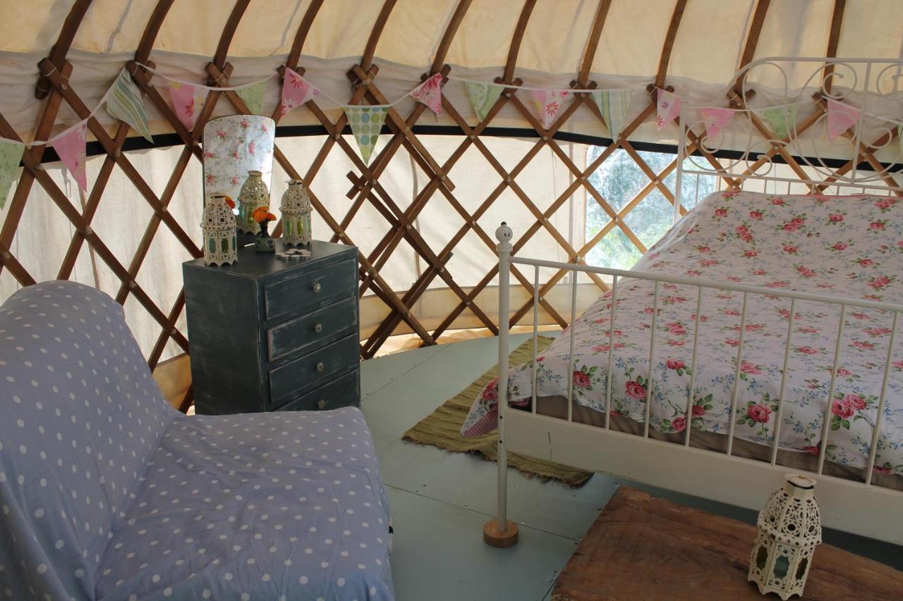 Mill Haven Place Glamping-Yurt 2 Haverfordwest Kültér fotó